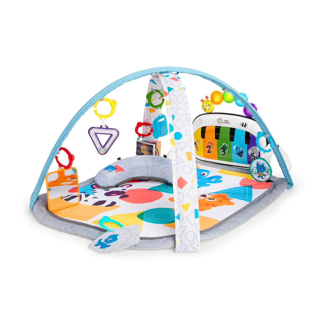 Play gym babies store r us