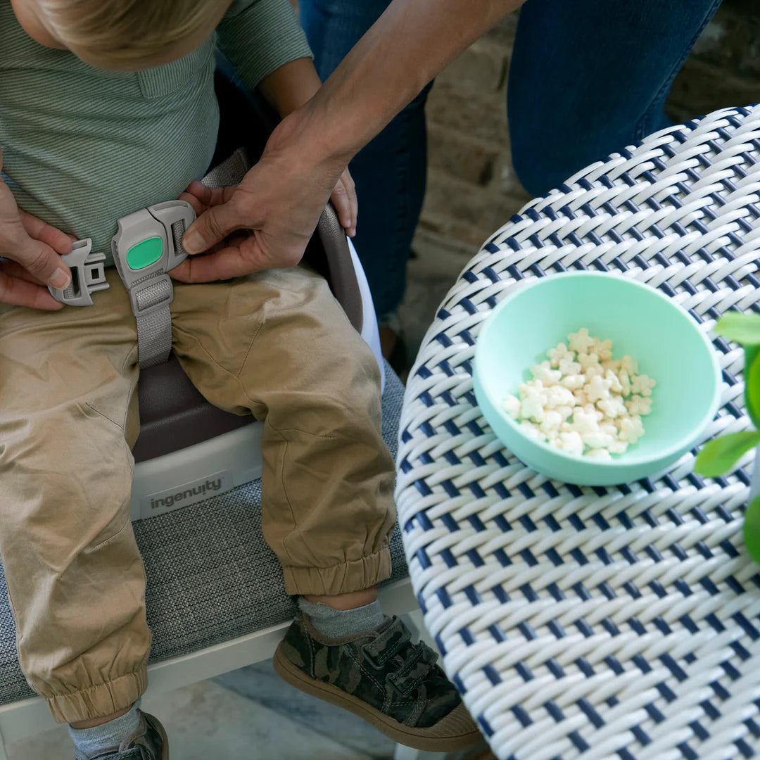 Ingenuity smart clean online booster seat